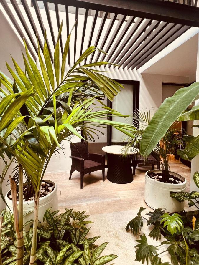 Apartment Volta Playa Del Carmem Playa del Carmen